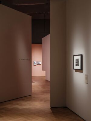 EBBA - V&A Fragile Beauty
