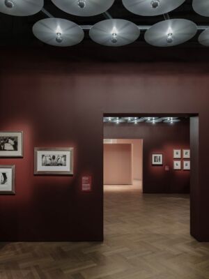 EBBA - V&A Fragile Beauty