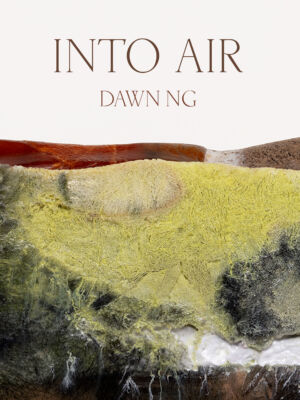 EBBA - Exhibition design for ‘Into Air’ by artist Dawn Ng