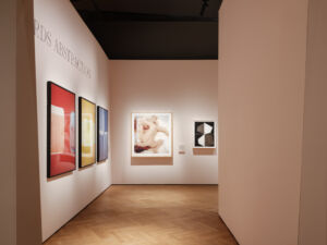 EBBA - EBBA have recently completed the major show 'Fragile Beauty' at the V&A Museum, London