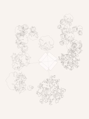 EBBA - Pulse at Houghton